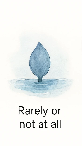 Rarely or not at all